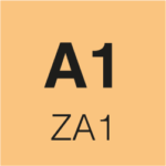 A1
